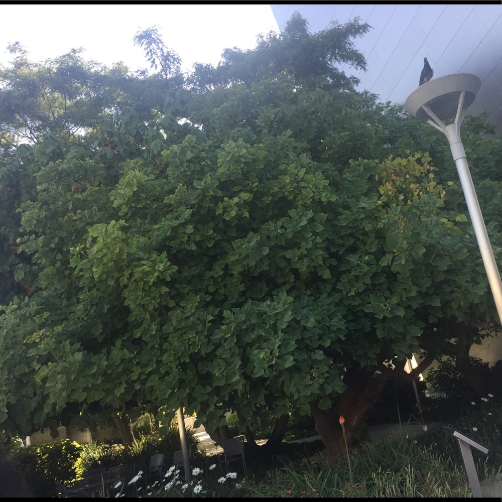 Meet your Posher, Samara